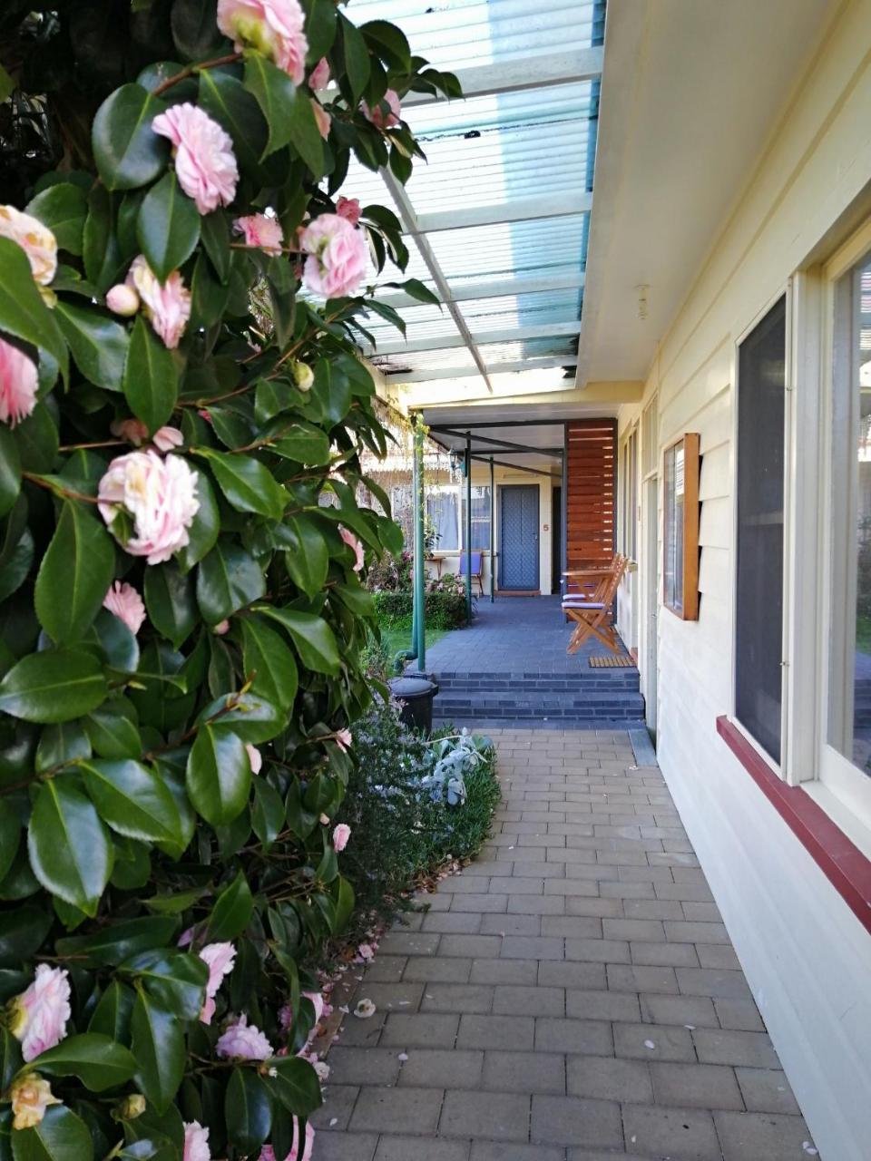 Wintersun Gardens Motel Bicheno Exterior foto